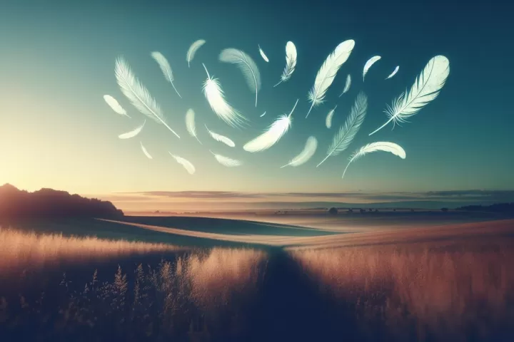 Soft feathers drifting down through a calm sky, symbolising release, guidance, and gentle emotional change.